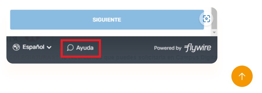 pago en linea paso 5.jpg