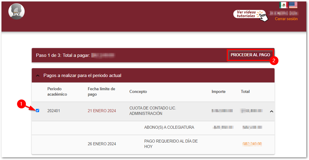 imagen pago en linea 2.png